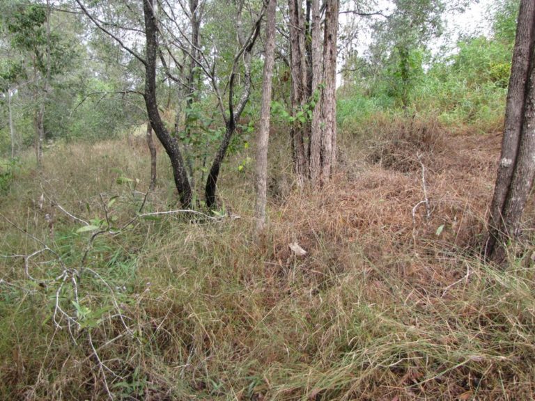 A Journey With Land For Wildlife, Gympie - Land For Wildlife