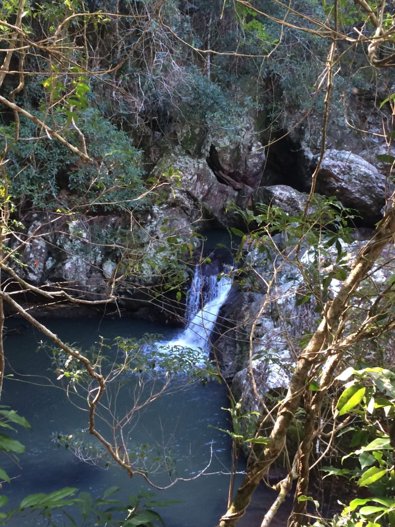 Laughing Waters: A treasure trove of natural wonders - Land for Wildlife