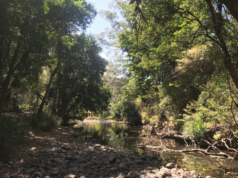 Cedar-Creek2 - Land for Wildlife